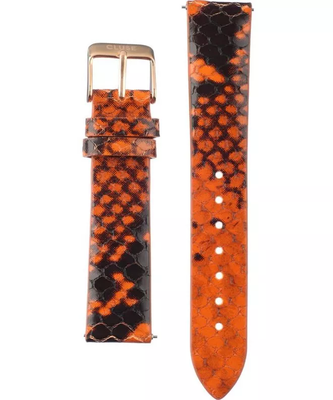Striscia Cluse Boho Chic CLS086