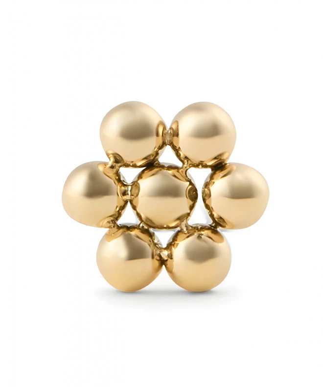 Orecchino Daniel Wellington Flower Stud Gold DW00400863