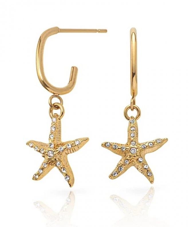 Orecchini Paul Hewitt Sea Star Hoops Earing Gold PH-JE-1096
