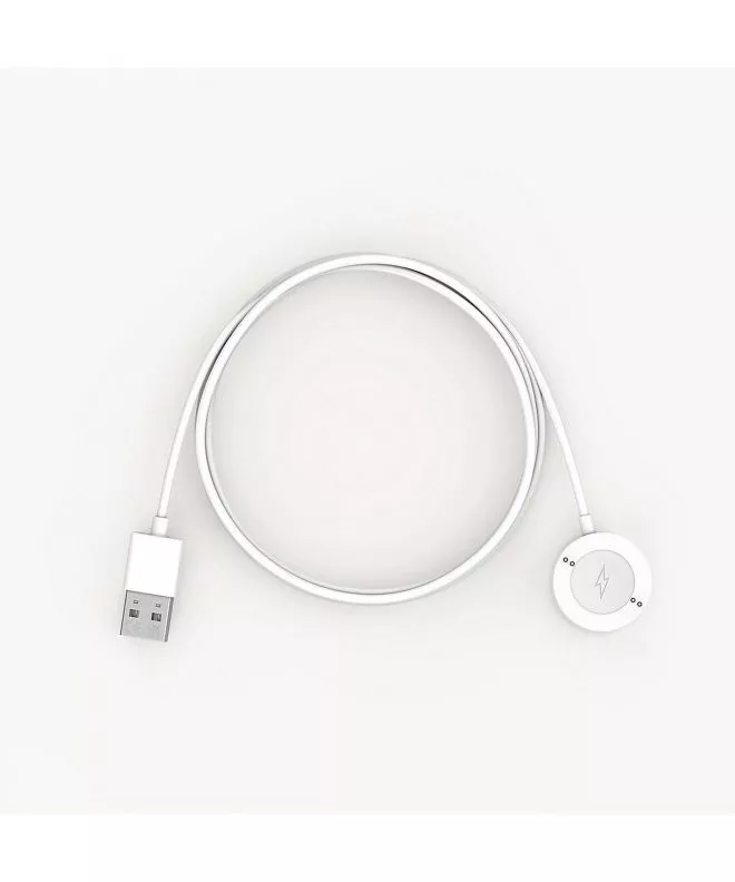 Caricabatterie Skagen Falster Gen 6 Smartwatch Rapid Charger SKT0005G