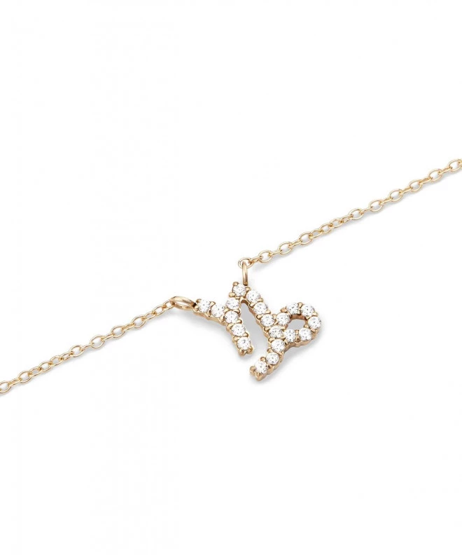 Collana Daniel Wellington Crystal Zodiac Chain Gold Capricorn DW00400928