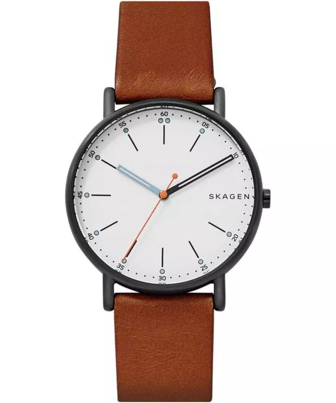 Orologio da Uomo Skagen Signatur SKW6374