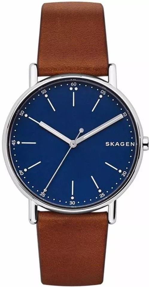 Orologio da Uomo Skagen Signatur SKW6355