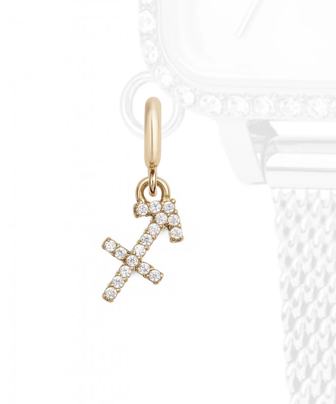 Pendente Daniel Wellington Charm Gold Sagittarius DW01500009