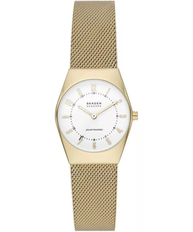 Orologio da Donna Skagen Grenen Lille Solar Powered SKW3077