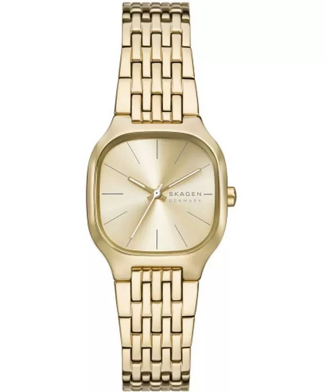 Orologio da Donna Skagen Mellem Lille Traditional SKW3162