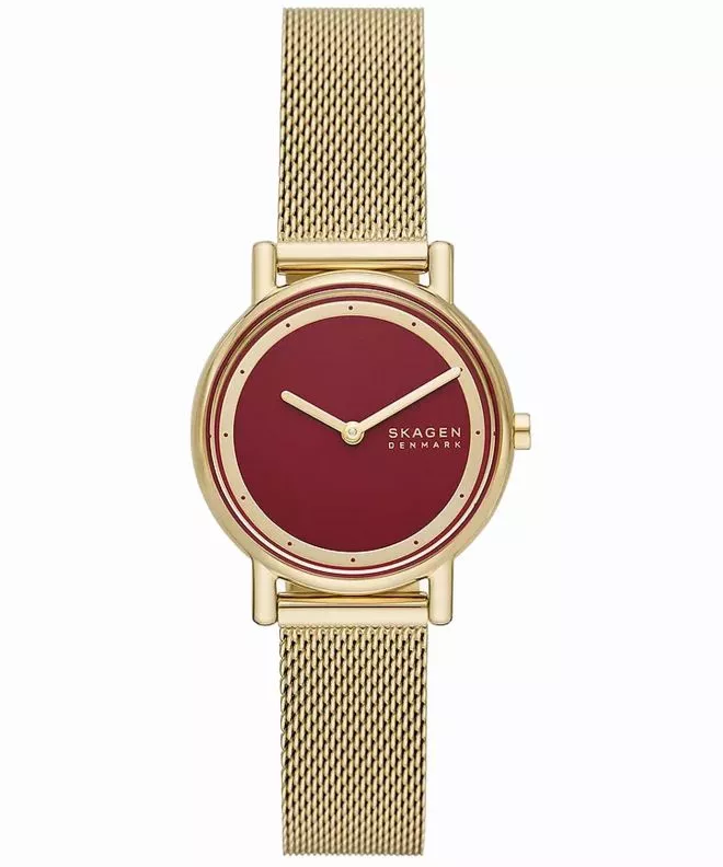Orologio da Donna Skagen Signatur Lille SKW3117