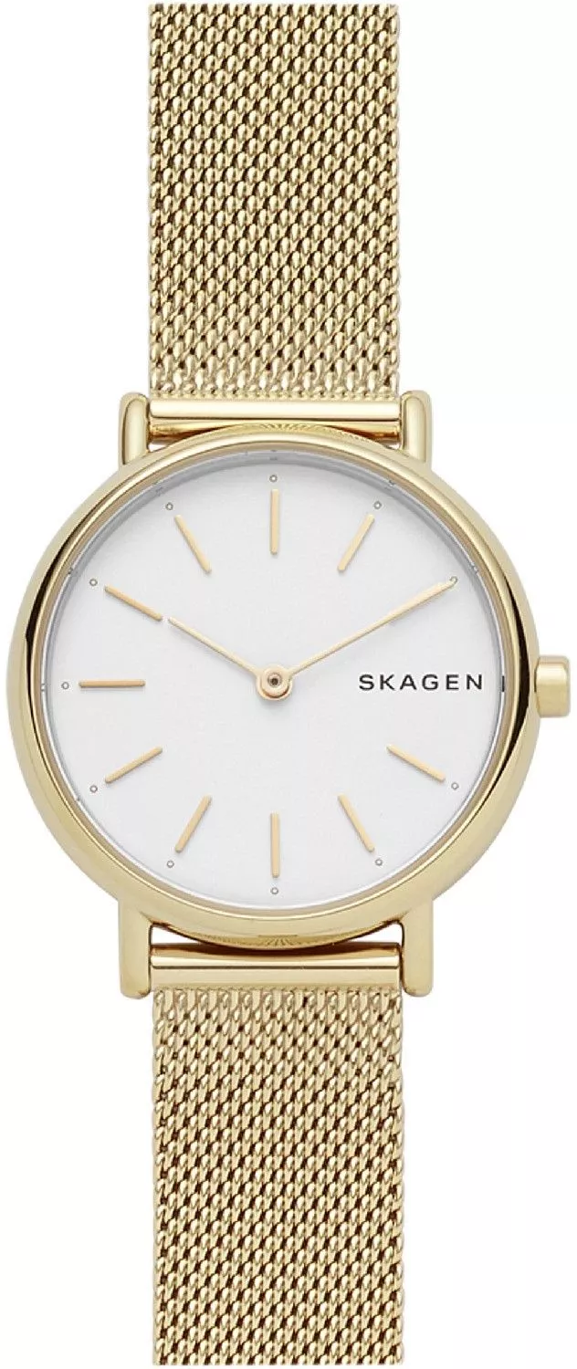 Orologio da Donna Skagen Signatur SKW2693