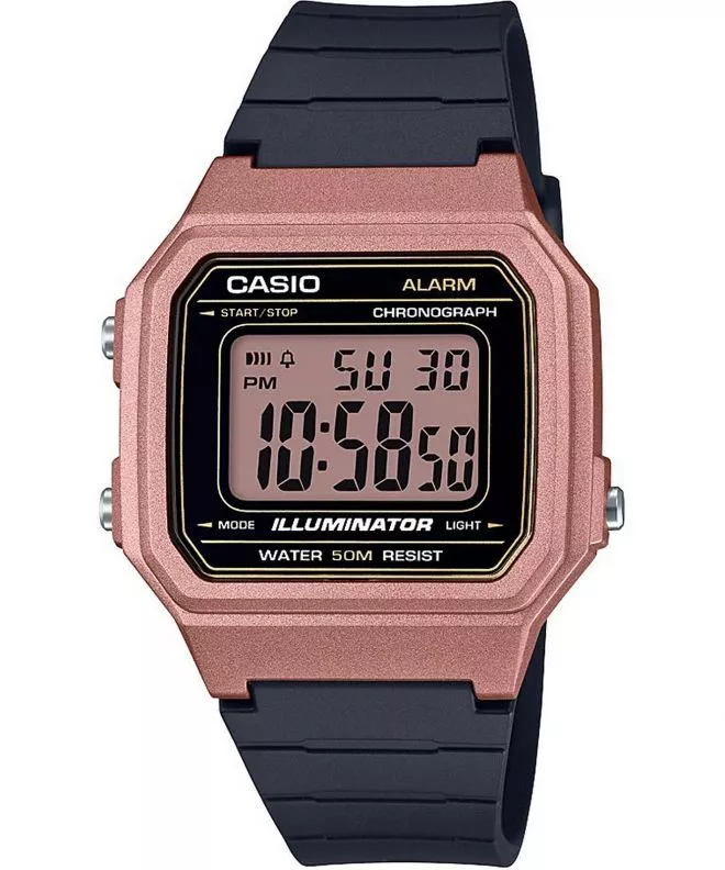 Orologio da Uomo Casio Oldschool W-217HM-5AVEF