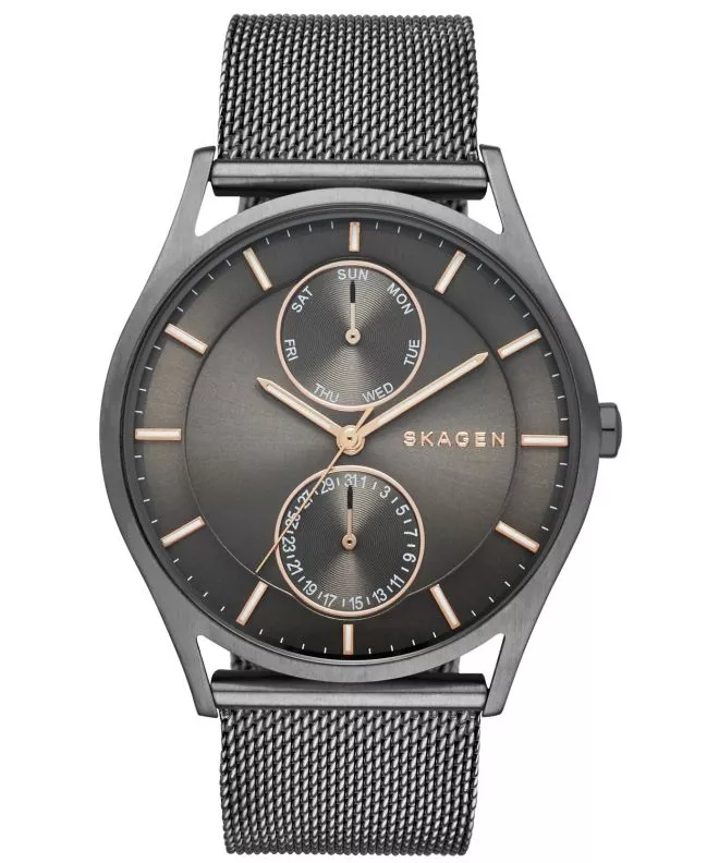 Orologio da Uomo Skagen Holst SKW6180