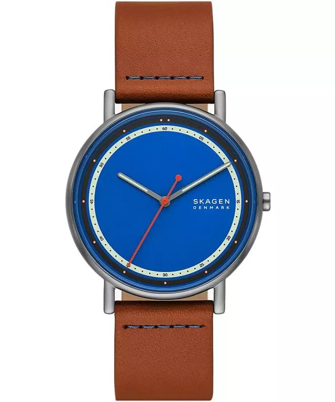 Orologio da Uomo Skagen Signatur SKW6899
