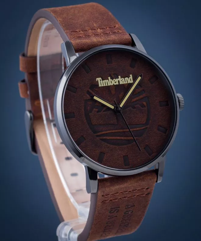 Orologio da Uomo Timberland Raycroft TBL.TDWJA2000803