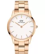 Orologio da Donna Daniel Wellington Iconic Link
