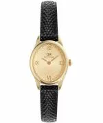 Orologio da Donna Daniel Wellington Ophelia Mini