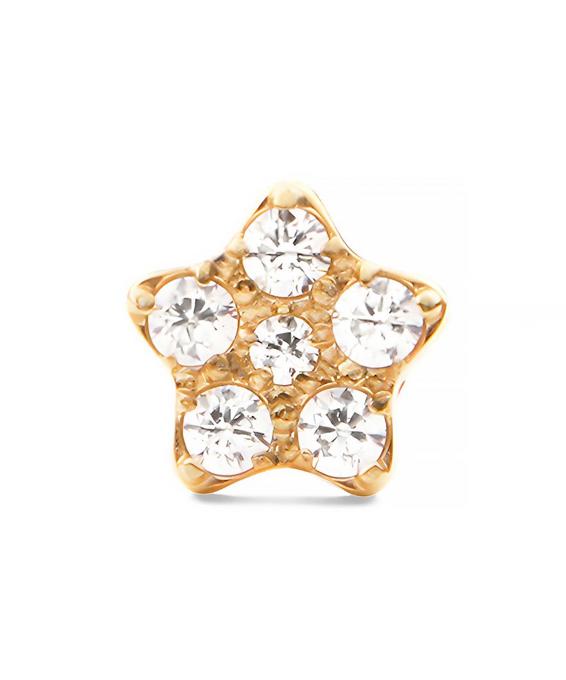 Orecchino Daniel Wellington Crystal Star Stud Gold