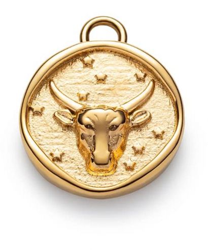 Pendente Paul Hewitt Taurus Charm Gold