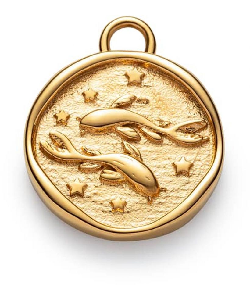 Pendente Paul Hewitt Pisces