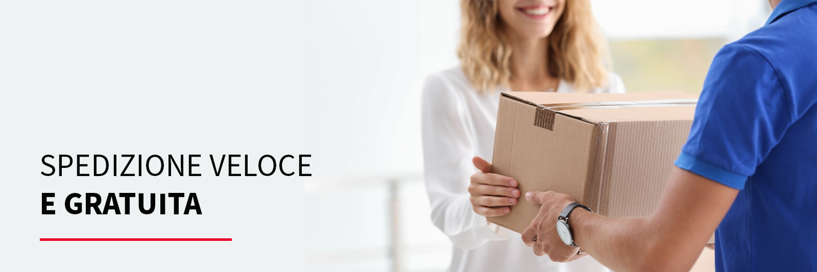 Spedizione veloce e gratuita